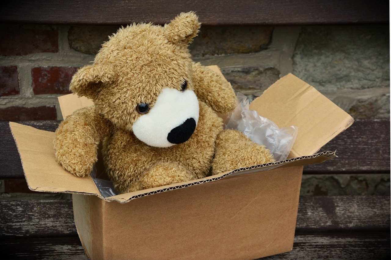 photo d'un carton de déménagement Accordem avec un ours en peluche dedans